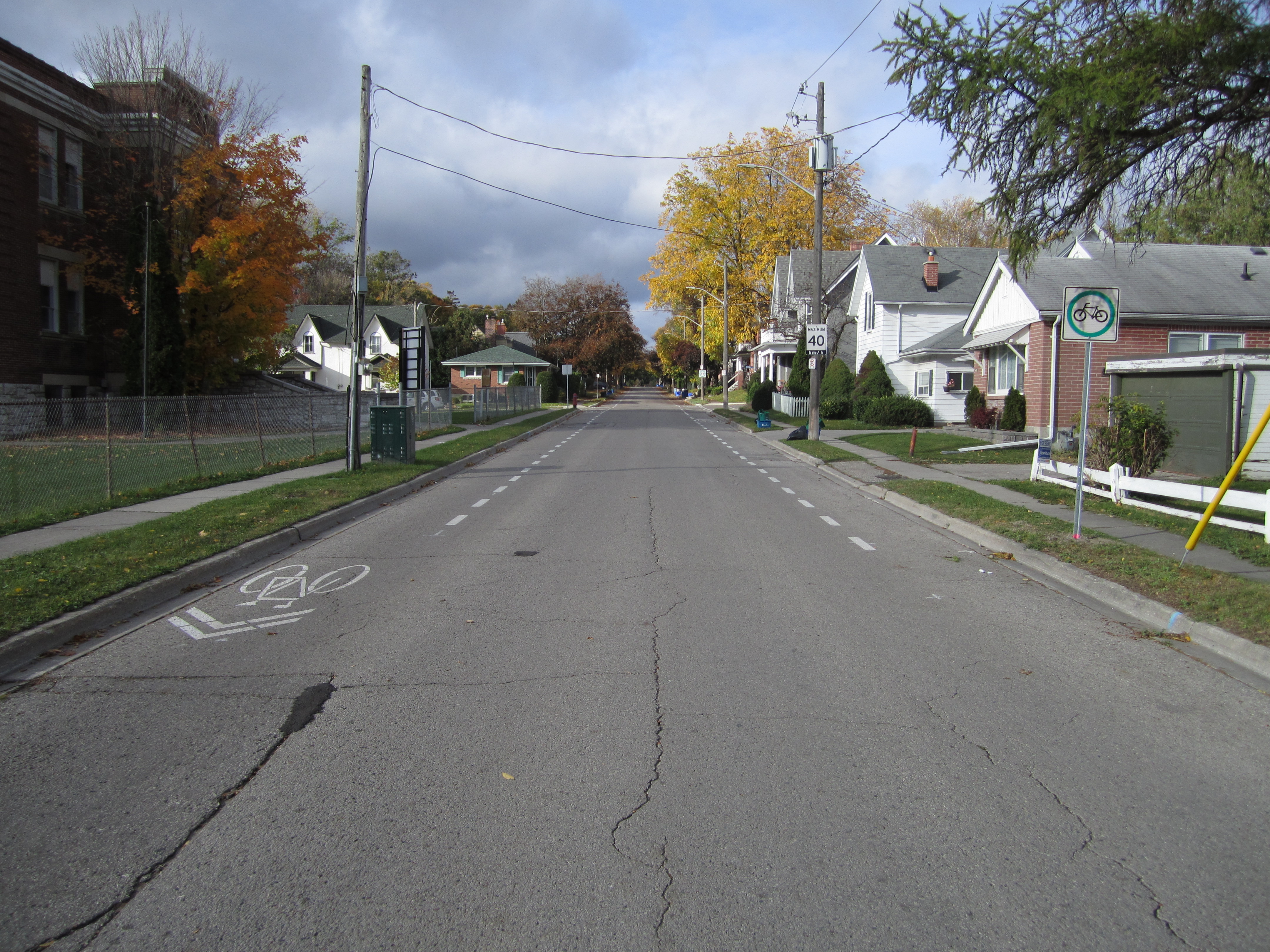 Picture of advisory bike lanes on Park Avenue looking Westbound