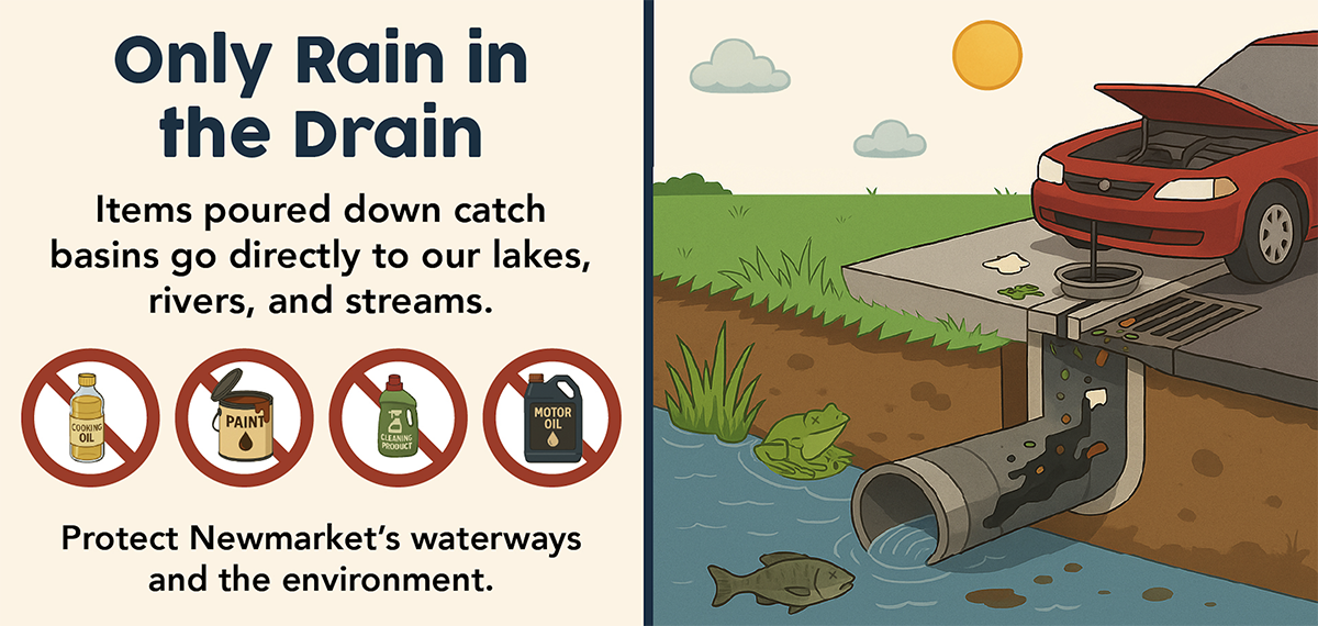 Only Rain in the Drain