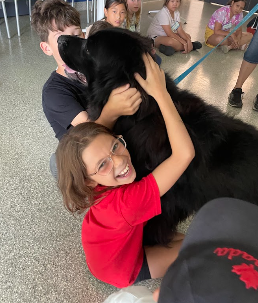 Screenshot (177).png