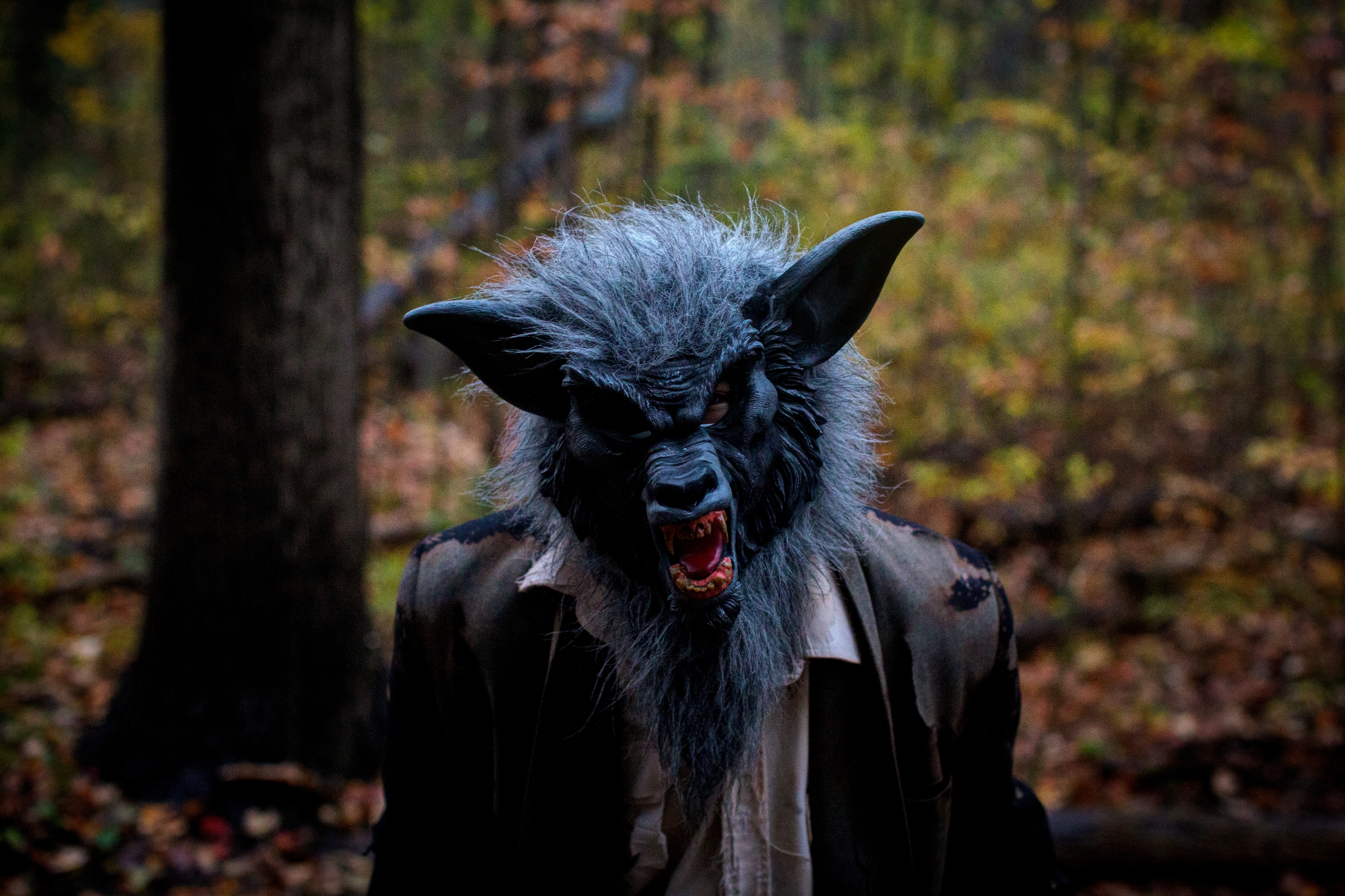 Haunted Trail Werewolf.jpg