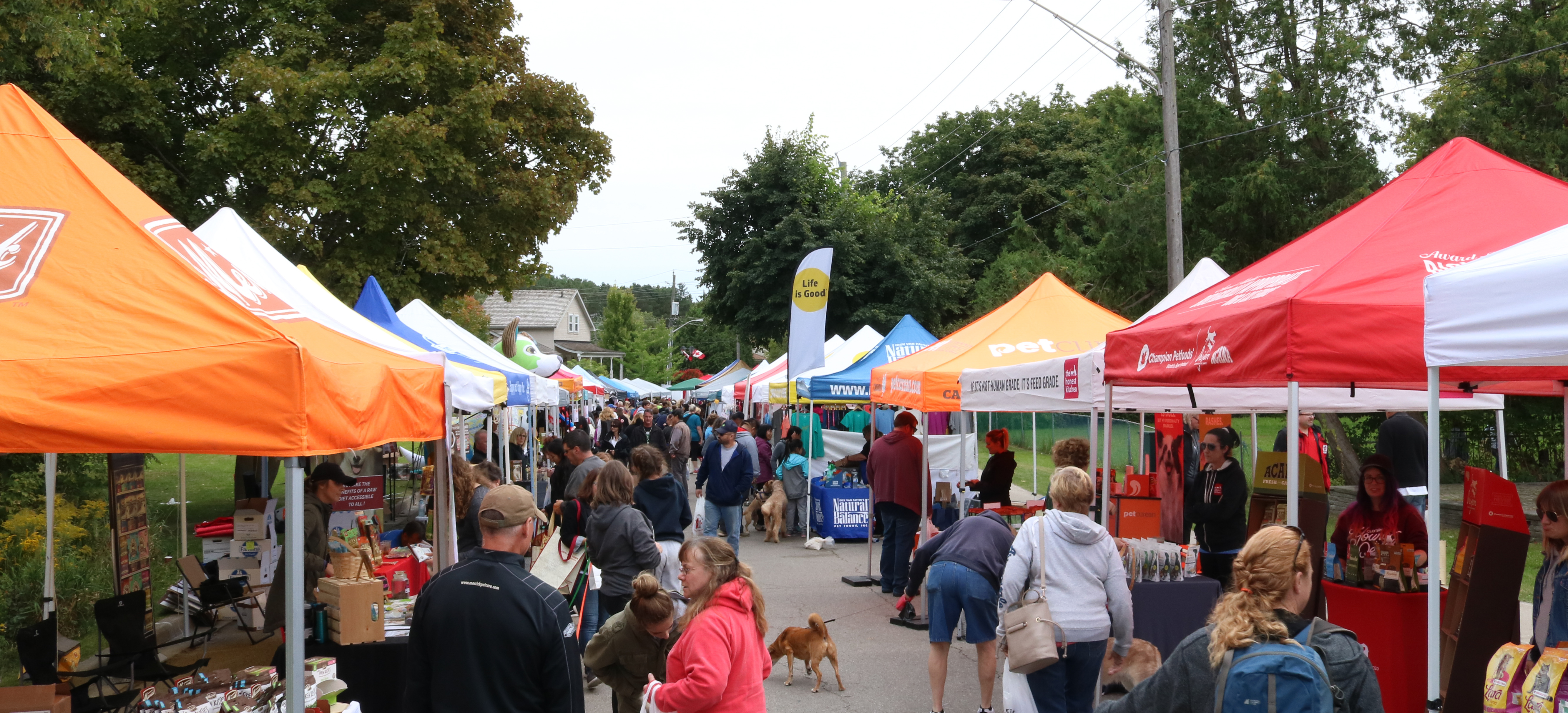 image of vendors at new'bark'et